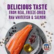 Show in main carousel: Stella & Chewy's Meowfulls Whitefish & Salmon Recipe Grain-Free Freeze-Dried Cat Treats, 1.5-oz bag slide 4 of 9