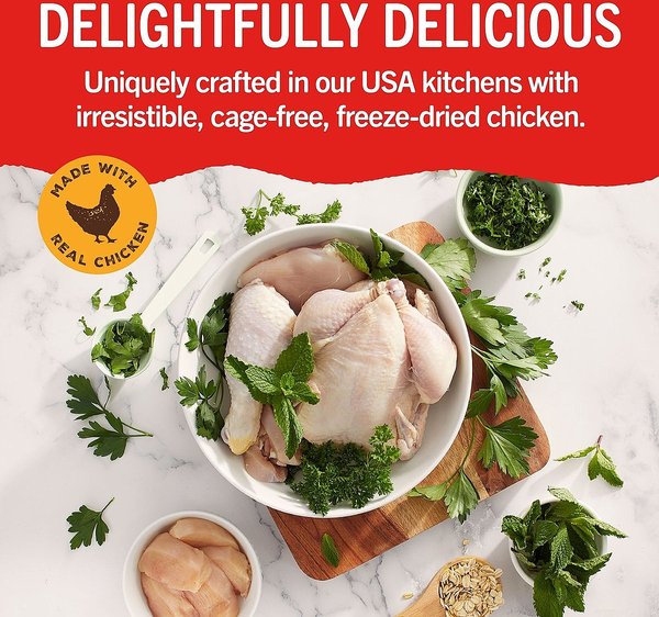 Show full view: Stella & Chewy's Dental Delights Extra Small Dental Dog Treats, 10.5-oz bag slide 4 of 9