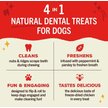 Show in main carousel: Stella & Chewy's Dental Delights Medium Dental Dog Treats, 5.5-oz bag slide 3 of 9