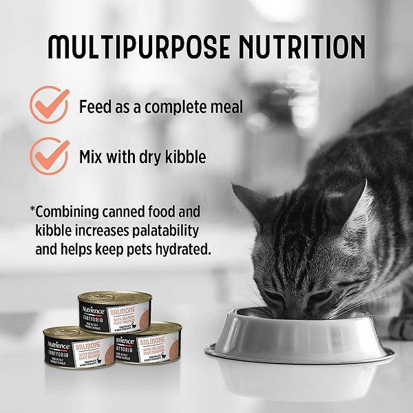 Show full view: Nutrience Trattoria with Salmon Pate Wet Cat Food, 85-g can, case of 24 slide 7 of 8