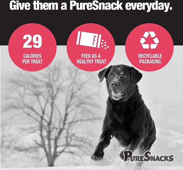Show full view: PureSnacks Air-Dried Chicken & Apple Jerky Dog Treats, 539-g bag slide 7 of 8