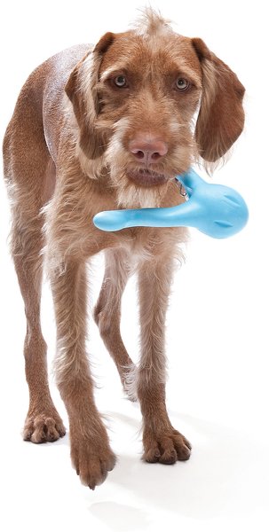 Show full view: West Paw Zogoflex Tizzi Treat Dispensing Dog Chew Toy, Aqua Blue, Large slide 4 of 5
