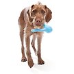Show in main carousel: West Paw Zogoflex Tizzi Treat Dispensing Dog Chew Toy, Aqua Blue, Large slide 4 of 5
