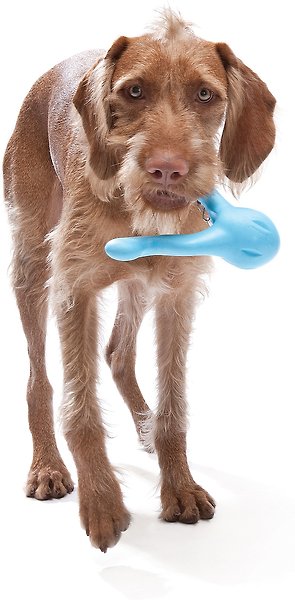 Show full view: West Paw Zogoflex Tizzi Treat Dispensing Dog Chew Toy, Aqua Blue, Large slide 3 of 5