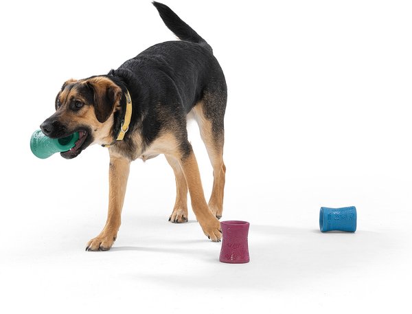 Show full view: West Paw Funnl Dog Toy, Large, 4.25-in, Marine slide 8 of 9