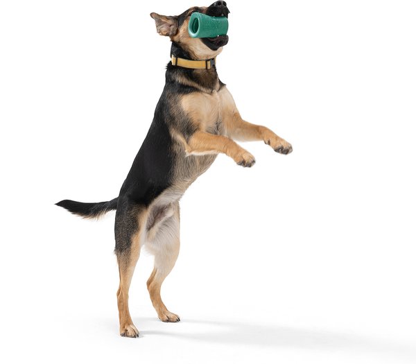 Show full view: West Paw Funnl Dog Toy, Large, 4.25-in, Kelp slide 6 of 9