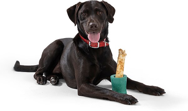 Show full view: West Paw Funnl Dog Toy, Large, 4.25-in, Kelp slide 5 of 9