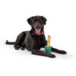 Show in main carousel: West Paw Funnl Dog Toy, Large, 4.25-in, Kelp slide 5 of 9
