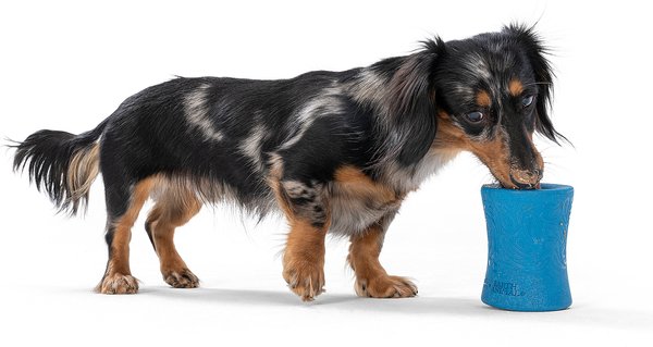 Show full view: West Paw Funnl Dog Toy, Large, 4.25-in, Marine slide 6 of 9