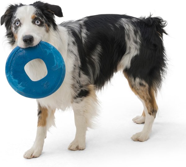 Show full view: West Paw Sailz Dog Fetch Toy, Large, Surf slide 5 of 6