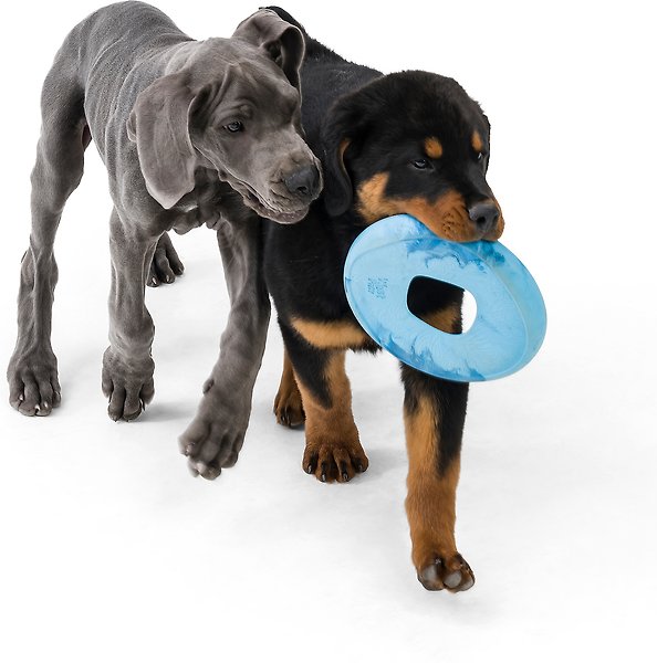 Show full view: West Paw Sailz Dog Fetch Toy, Large, Surf slide 3 of 6