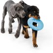 Show in main carousel: West Paw Sailz Dog Fetch Toy, Large, Surf slide 3 of 6