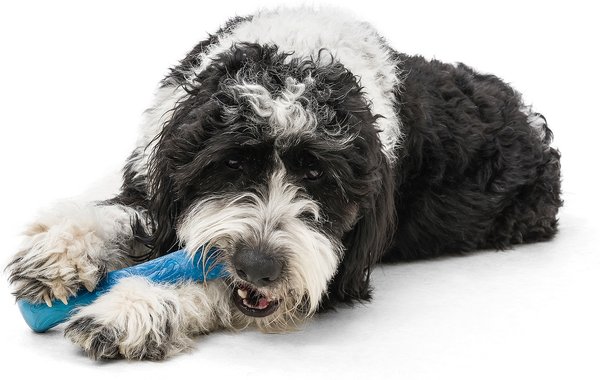 Show full view: West Paw Drifty Dog Chew Toy, Surf, Large slide 3 of 5