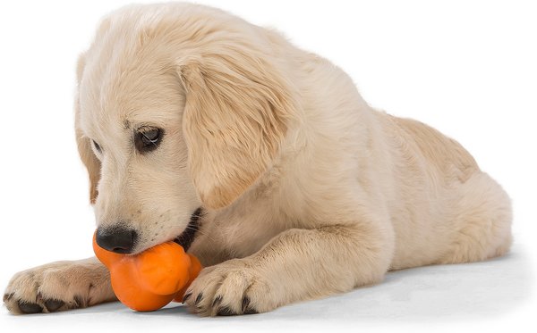 Show full view: West Paw Zogoflex Small Tux Tough Treat Dispensing Dog Chew Toy, Tangerine slide 4 of 5