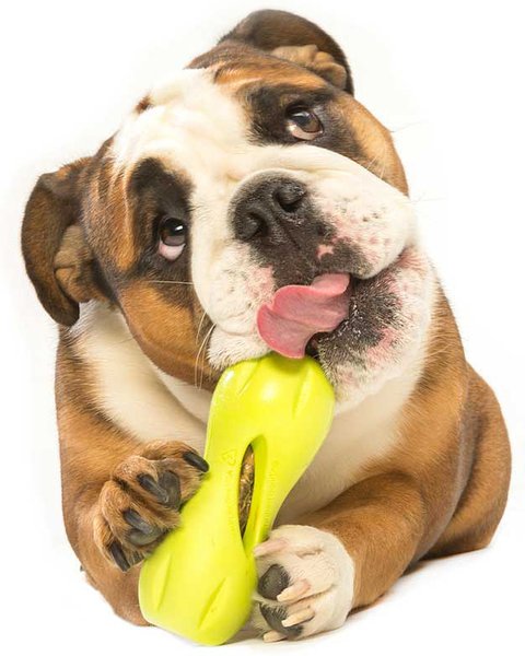 Show full view: West Paw Qwizl Tough Treat Dispensing Dog Chew Toy, Granny Smith, Large slide 4 of 6
