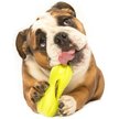 Show in main carousel: West Paw Qwizl Tough Treat Dispensing Dog Chew Toy, Granny Smith, Large slide 4 of 6