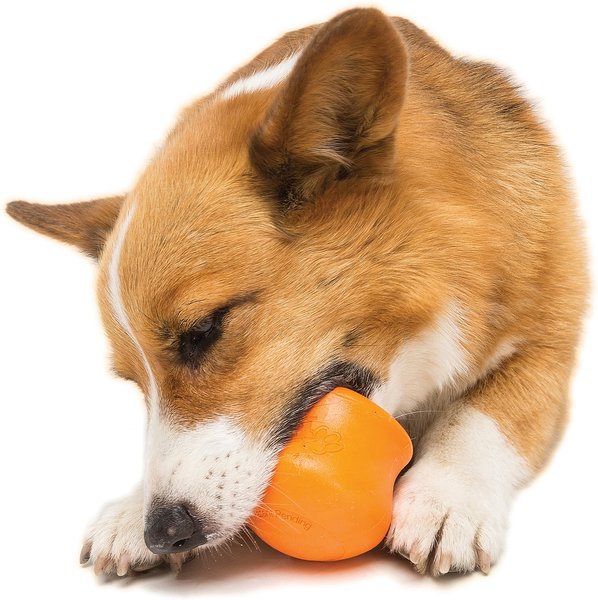 Show full view: West Paw Zogoflex Toppl Tough Treat Dispensing Dog Chew Toy, Tangerine, Small slide 4 of 7