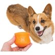 Show in main carousel: West Paw Zogoflex Toppl Tough Treat Dispensing Dog Chew Toy, Tangerine, Small slide 3 of 7