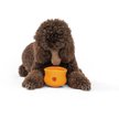 Show in main carousel: West Paw Zogoflex Toppl Tough Treat Dispensing Dog Chew Toy, Tangerine, X-Large slide 8 of 9