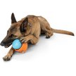Show in main carousel: West Paw Zogoflex Toppl Tough Treat Dispensing Dog Chew Toy, Tangerine, X-Large slide 4 of 9
