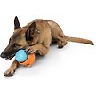 Show in main carousel: West Paw Zogoflex Toppl Tough Treat Dispensing Dog Chew Toy, Aqua Blue, Large slide 3 of 9