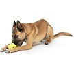 Show in main carousel: West Paw Zogoflex Toppl Tough Treat Dispensing Dog Chew Toy, Granny Smith, Large slide 5 of 8
