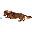 Show in main carousel: West Paw Zogoflex Jive Tough Ball Dog Toy, Aqua Blue, Mini slide 4 of 5