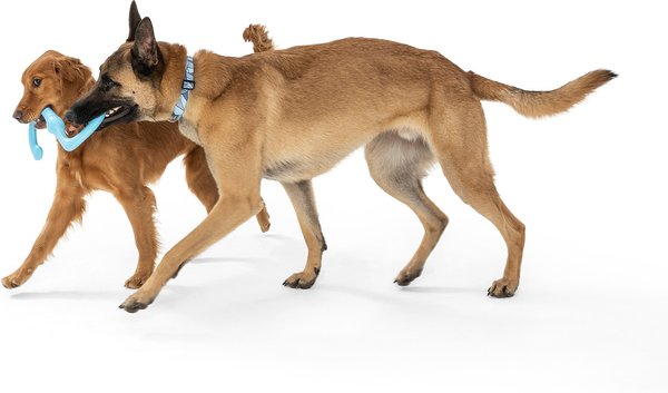 Show full view: West Paw Zogoflex Bumi Dog Toy, Aqua Blue, Large slide 3 of 4