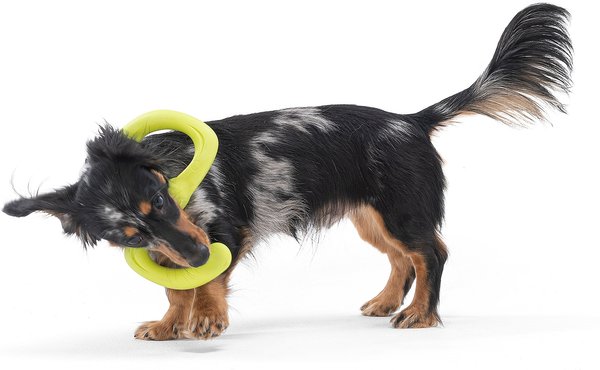 Show full view: West Paw Zogoflex Bumi Dog Toy, Granny Smith, Small slide 3 of 4