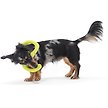 Show in main carousel: West Paw Zogoflex Bumi Dog Toy, Granny Smith, Small slide 3 of 4