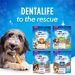 Show in main carousel: DentaLife Chews Daily Oral Care Small Dog Treats, 40 count slide 7 of 10