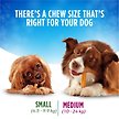 Show in main carousel: DentaLife Chews Daily Oral Care Small Dog Treats, 40 count slide 6 of 10