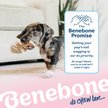 Show in main carousel: Benebone Fishbone Tough Puppy Chew Toy, 2 count slide 7 of 8