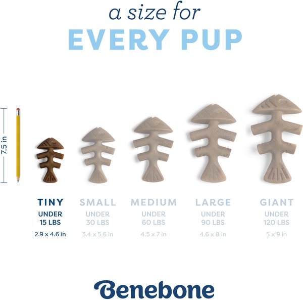 Show full view: Benebone Fishbone Tough Puppy Chew Toy, 2 count slide 5 of 8