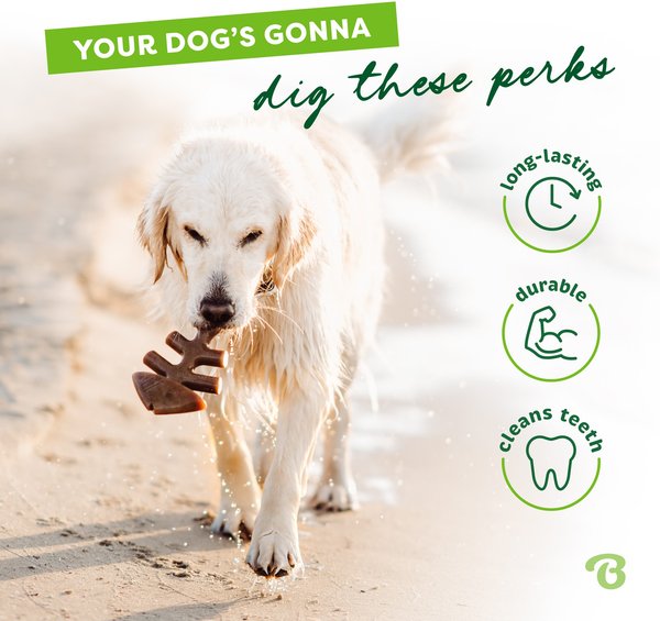 Show full view: Benebone Fishbone Dog Chew Toy, Medium slide 4 of 8