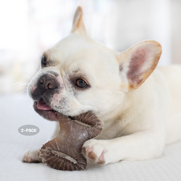 Show full view: Benebone Bacon Flavor Tough Pack Dental Chew & Wishbone Dog Chew Toy, Tiny, 2 count slide 5 of 7