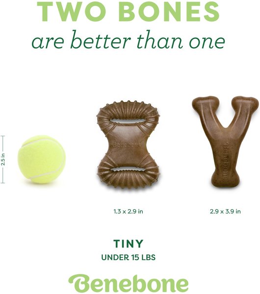 Show full view: Benebone Bacon Flavor Tough Pack Dental Chew & Wishbone Dog Chew Toy, Tiny, 2 count slide 4 of 7