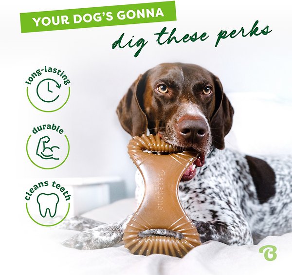 Show full view: Benebone Bacon Flavor Dental Tough Dog Chew Toy, Small slide 4 of 8