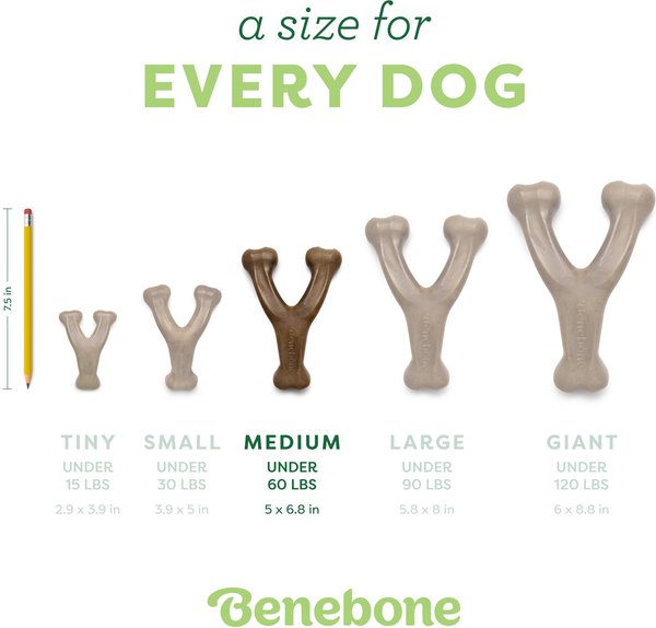Show full view: Benebone Bacon Flavor Wishbone Tough Dog Chew Toy, Medium slide 5 of 8
