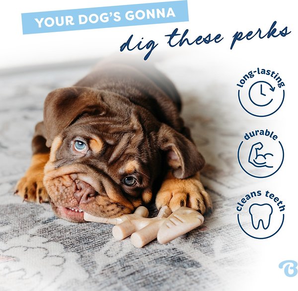 Show full view: Benebone Fishbone Tough Puppy Chew Toy, 2 count slide 4 of 8