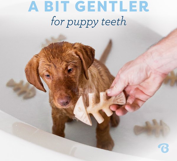 Show full view: Benebone Fishbone Tough Puppy Chew Toy, 2 count slide 3 of 8