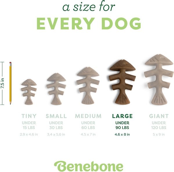 Show full view: Benebone Fishbone Dog Chew Toy, Large slide 5 of 8