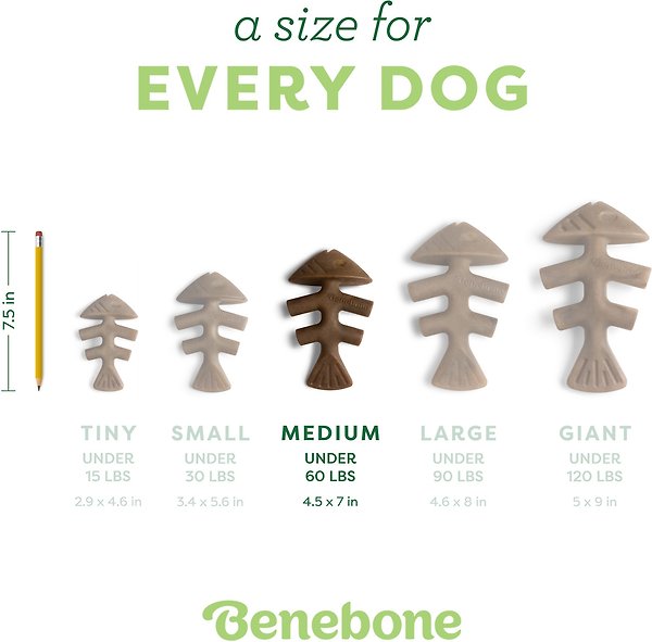 Show full view: Benebone Fishbone Dog Chew Toy, Medium slide 5 of 8