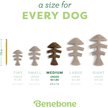 Show in main carousel: Benebone Fishbone Dog Chew Toy, Medium slide 5 of 8