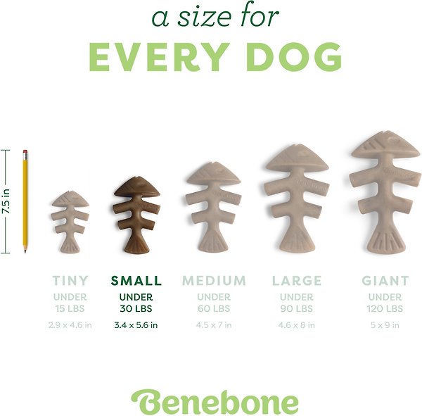 Show full view: Benebone Fishbone Dog Chew Toy, Small slide 5 of 8