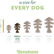 Show in main carousel: Benebone Fishbone Dog Chew Toy, Small slide 5 of 8