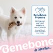 Show in main carousel: Benebone Wishbone Bacon Flavor Chew Puppy Toy, Medium slide 7 of 8