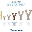 Show in main carousel: Benebone Wishbone Bacon Flavor Chew Puppy Toy, Medium slide 5 of 8