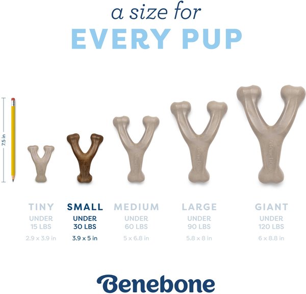 Show full view: Benebone Bacon Flavor Wishbone Tough Puppy Chew Toy, Small slide 5 of 8