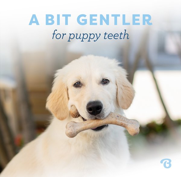 Show full view: Benebone Bacon Flavor Wishbone Tough Puppy Chew Toy, Small slide 3 of 8